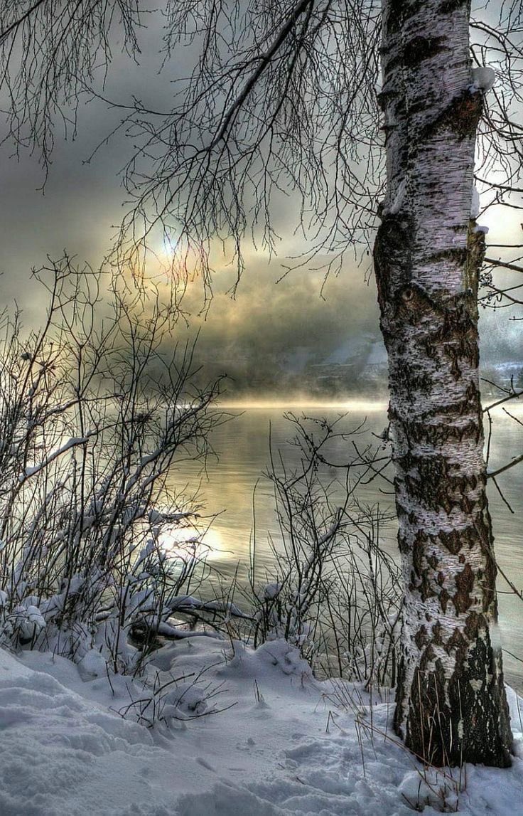 Good morning dear friends !
#photos #morning #sunrise