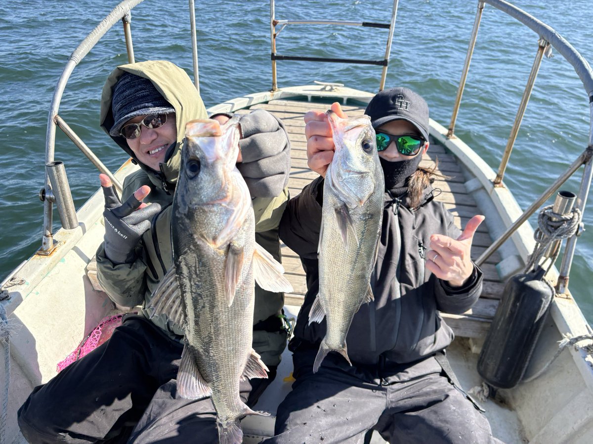 釣りキチたかちゃん (@yamame628) / Posts / X