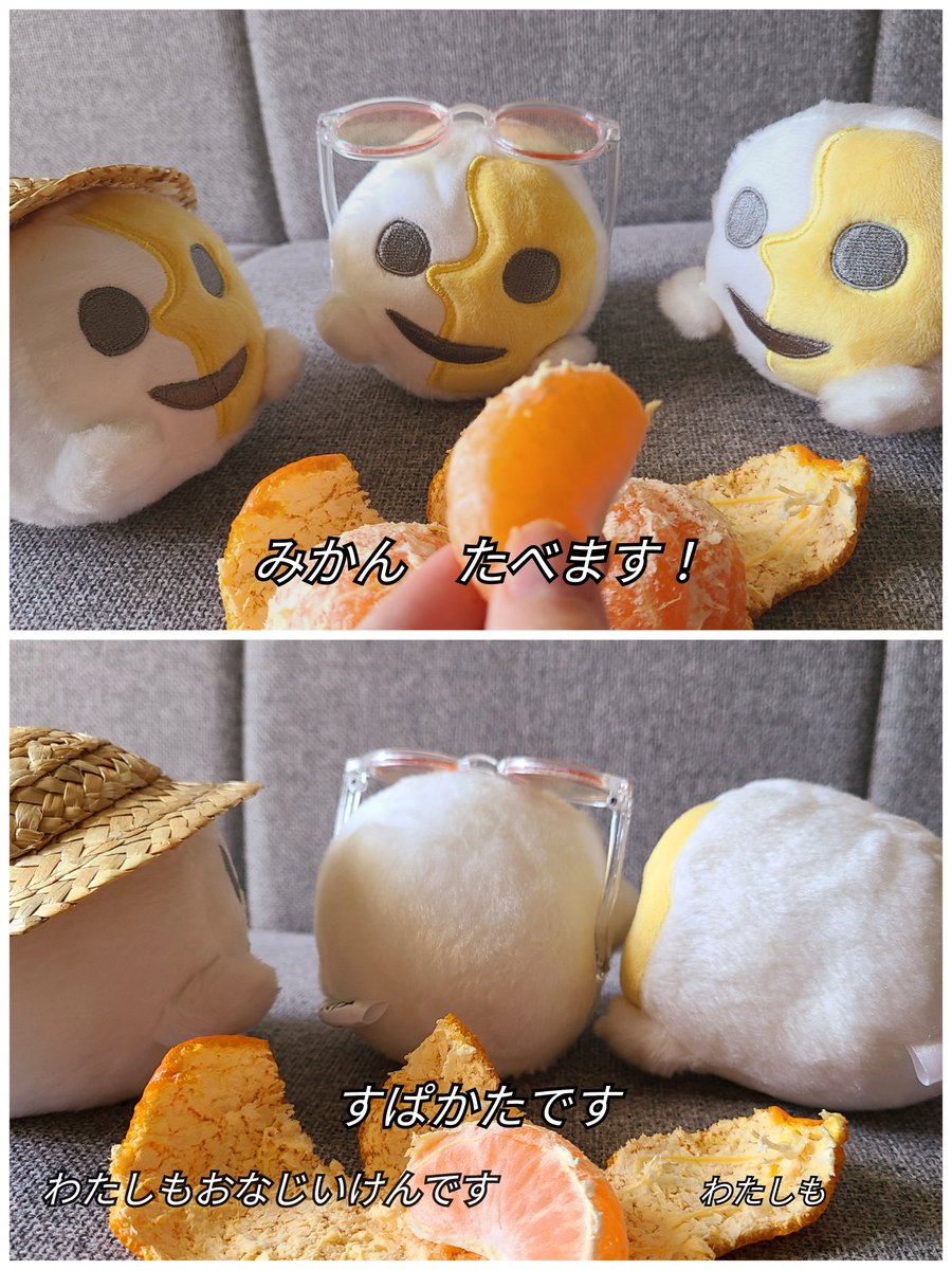 ｺﾞﾇ tweet media