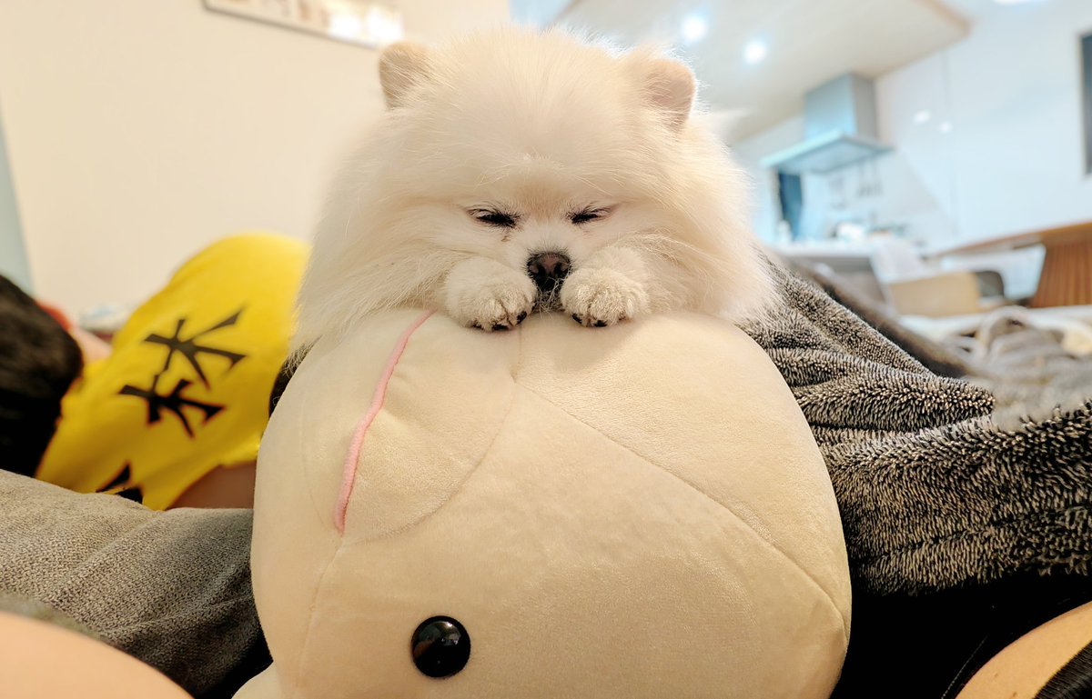 おこめ屋 (@chimaki0328) / Posts / X