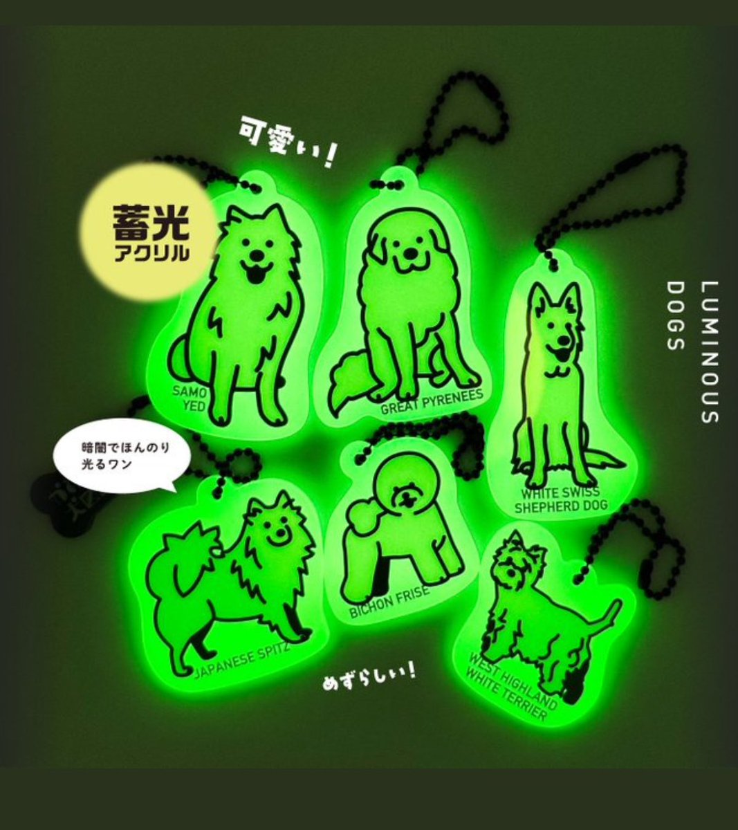 【かめつる犬図鑑 めじるしdogs 〜白くてもふもふな犬たち〜】 
1月発売のガチャガチャ。 
a.r10.to/hkXhAP #pr
