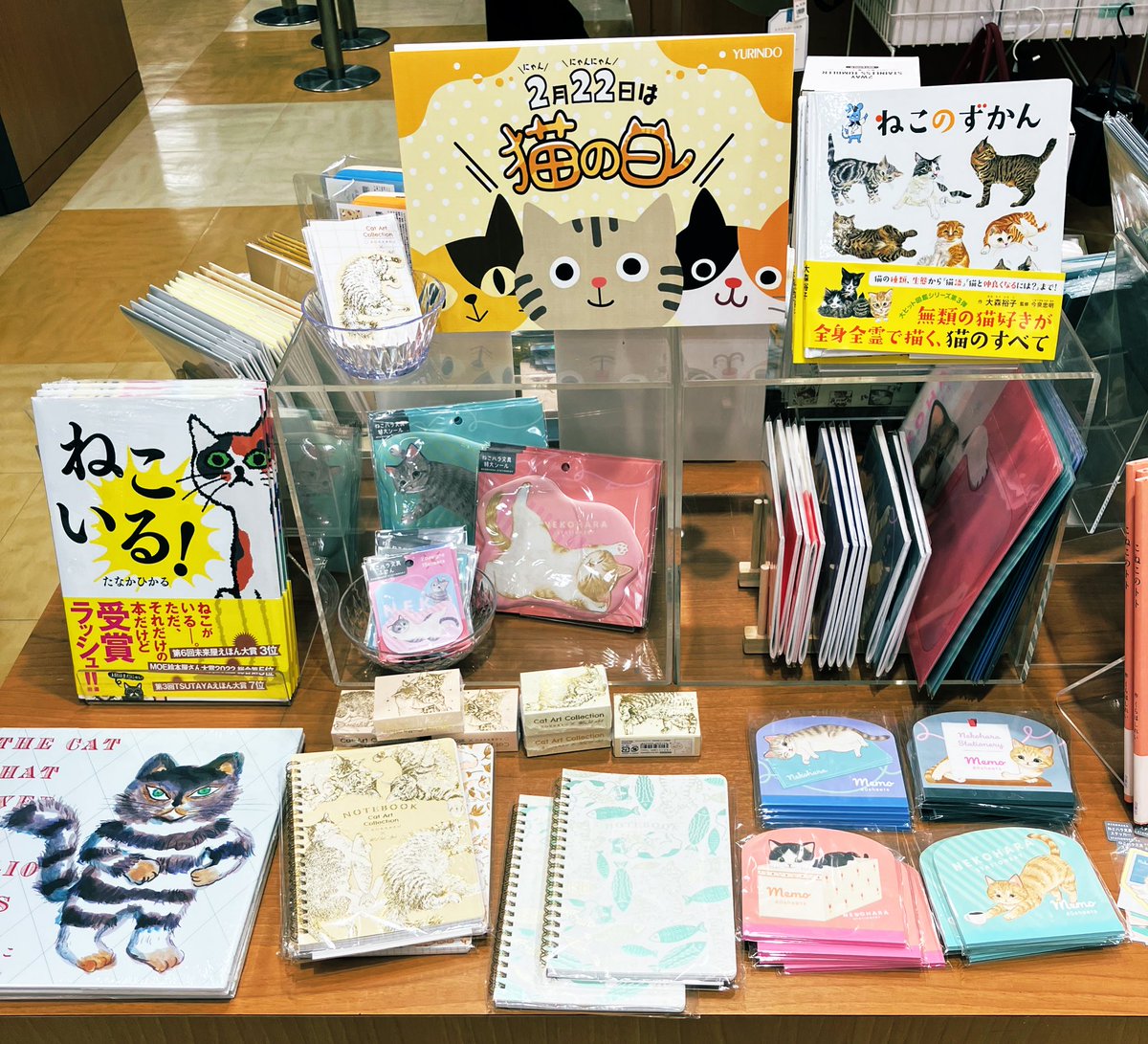 皆様、こんにちは。
本日は猫好きの皆様に特にオススメのフェアのご紹介です😺
『2月22日は猫の日』が始まりました✨
個性的で可愛いネコのイラストの文具や雑貨を中心にたくさんご用意。
プレゼントにも最適です🎁
皆様のご来店、お待ちしております♪
#猫の日　#ネコの日　#ネコ雑貨