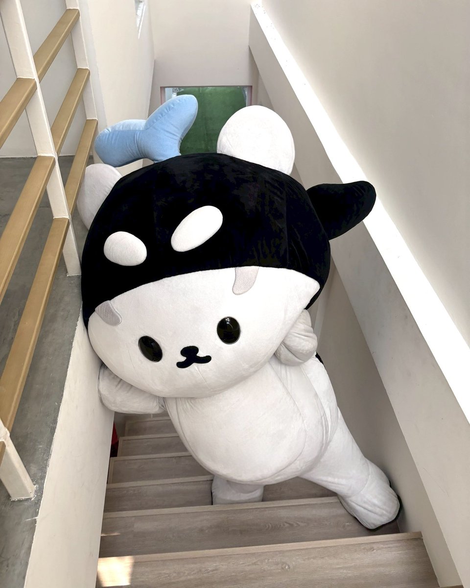 polcasan_GMMTV's tweet image. บันไดมันเล็กเกินไปป สงสัยต้องทำใหม่ซ้าแล้ว
#POLCASAN