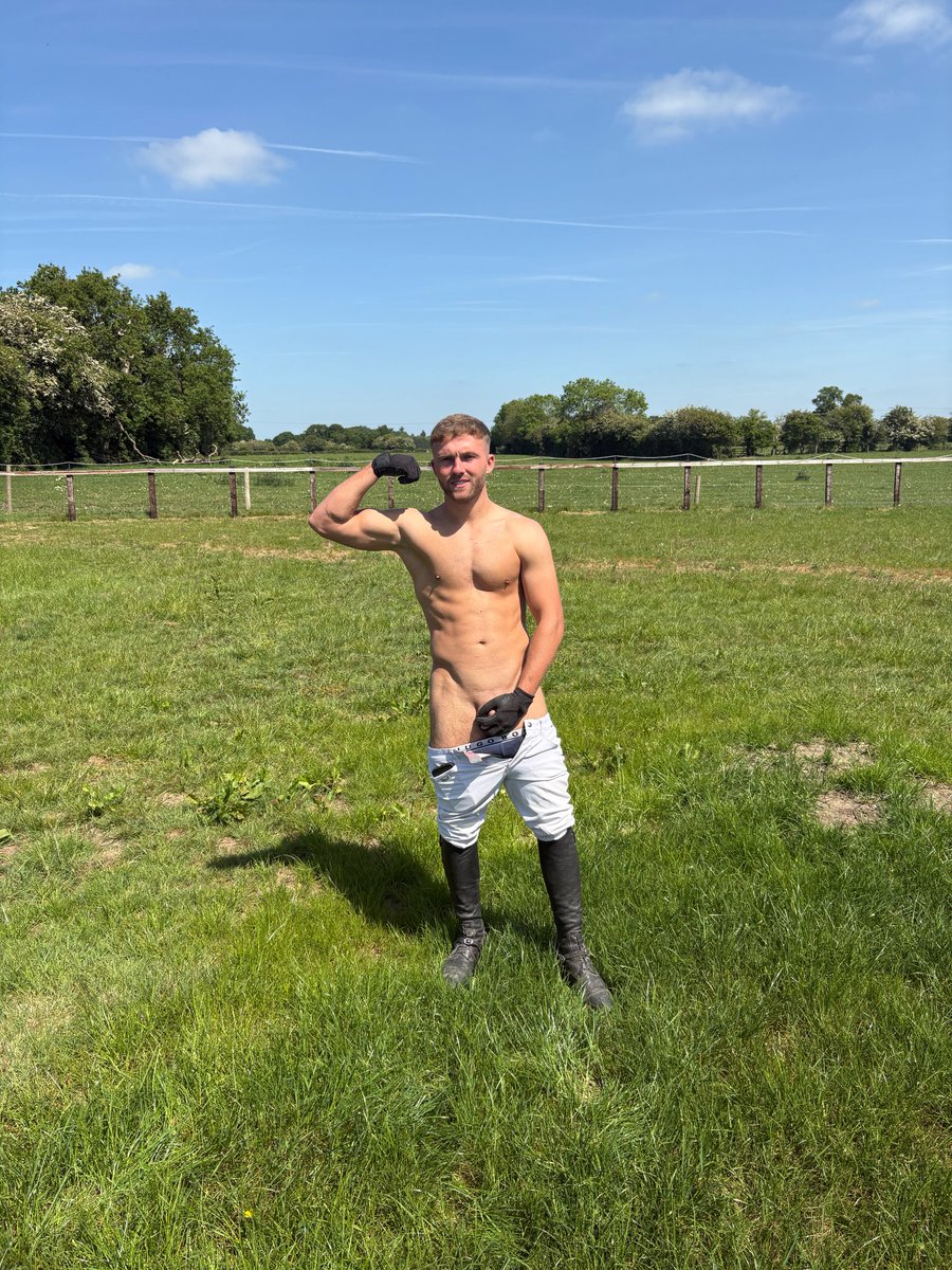 The Horse Rider tweet media