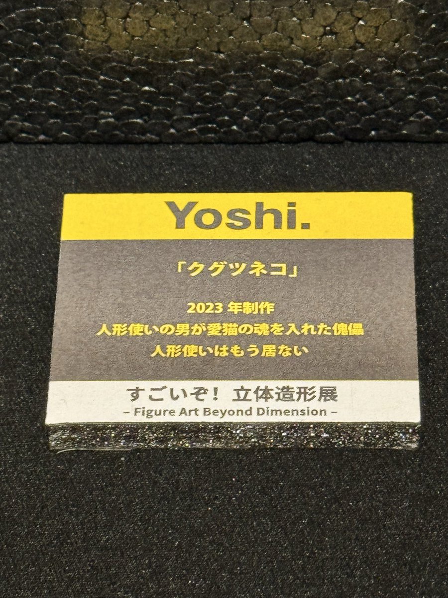 Yoshi.@WF6-02-01 (@Yoshi6054) / Posts / X