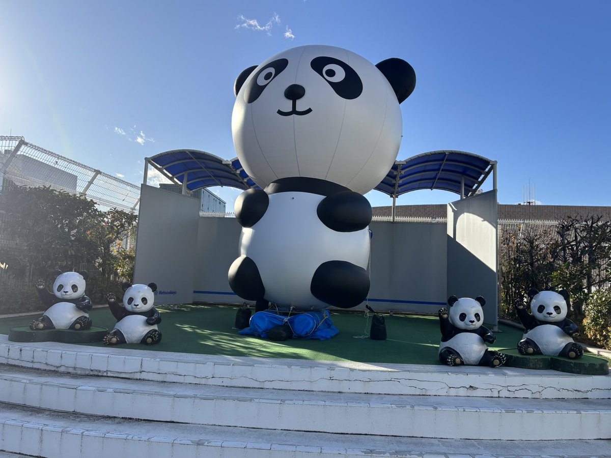 ☆ パンダ★プロフ必読 さま 専用 ☆ パンダプロフ必読 さま 専用 ☆ パンダ☆プロフ読んでください さま