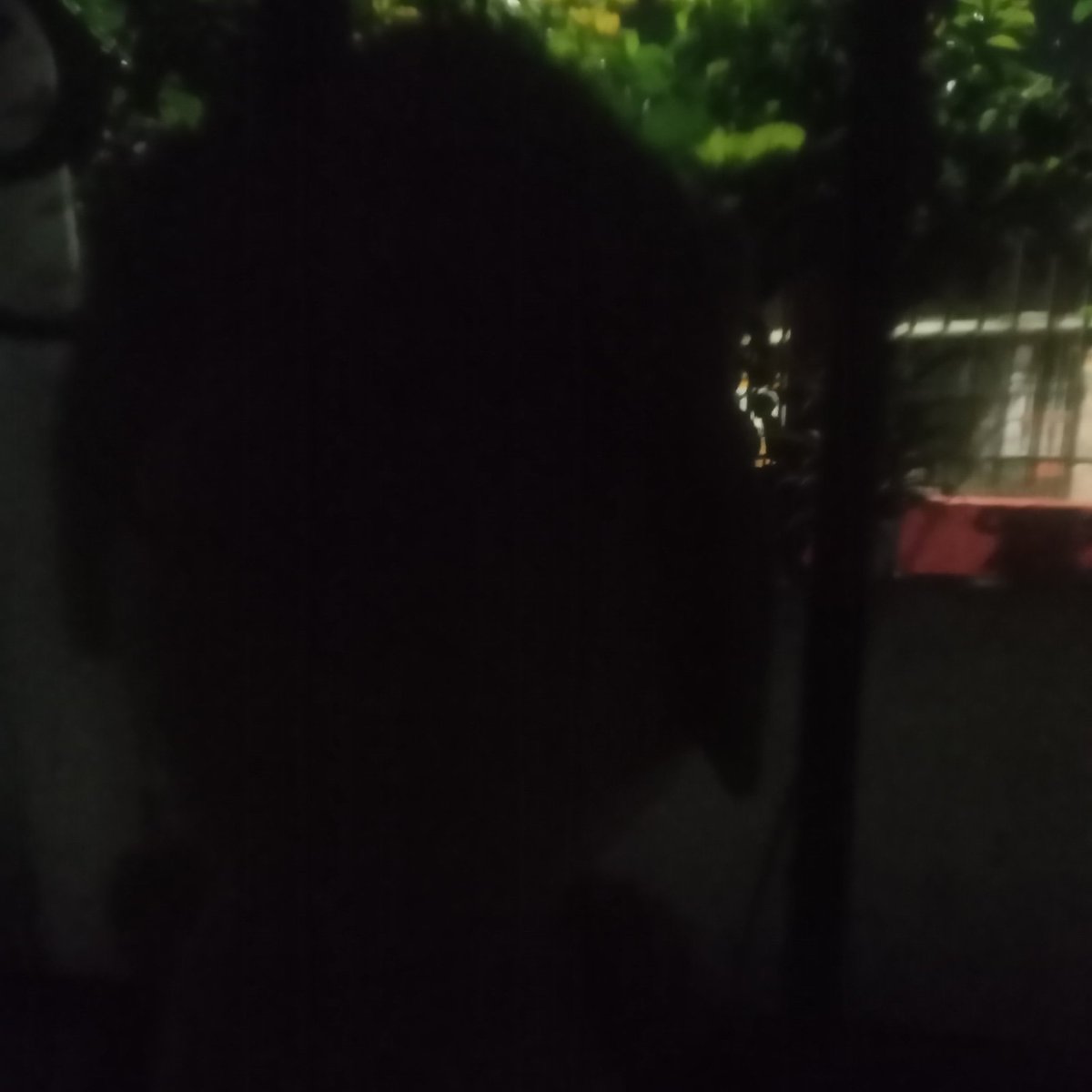 ✏just. draw tweet media