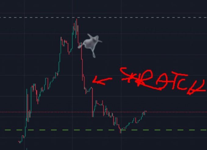 $trust bro its not dead