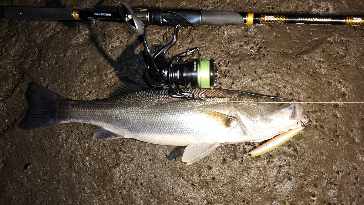 中馬貴寛 tweet media