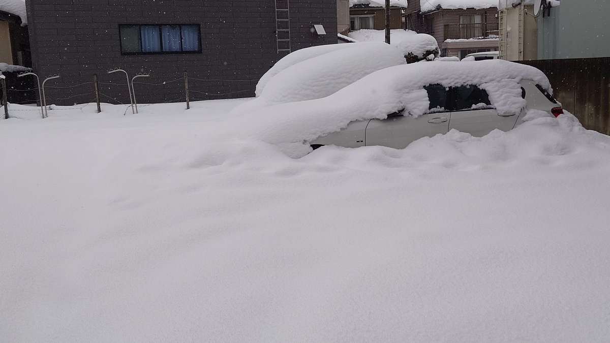 ❄積雪50cm❄

最低でも数日は車動かせないかも