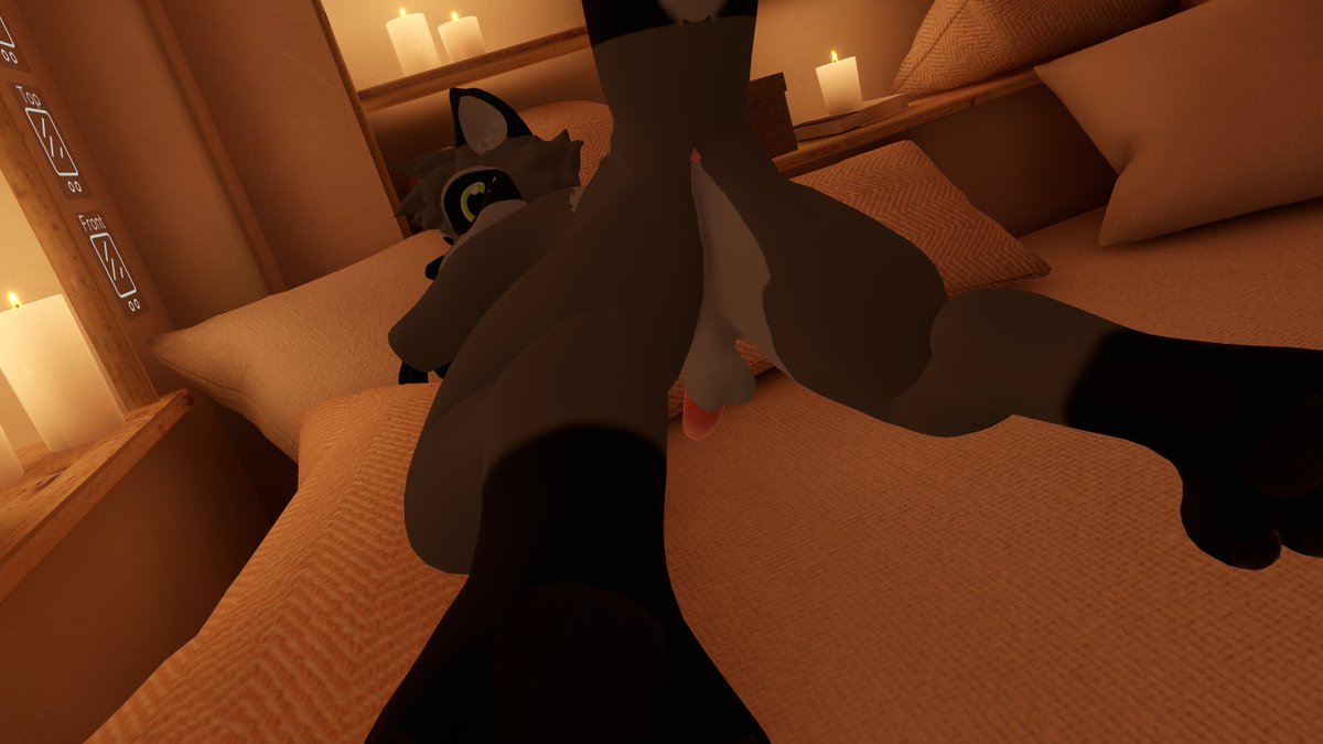 LuckyTheLynx tweet media