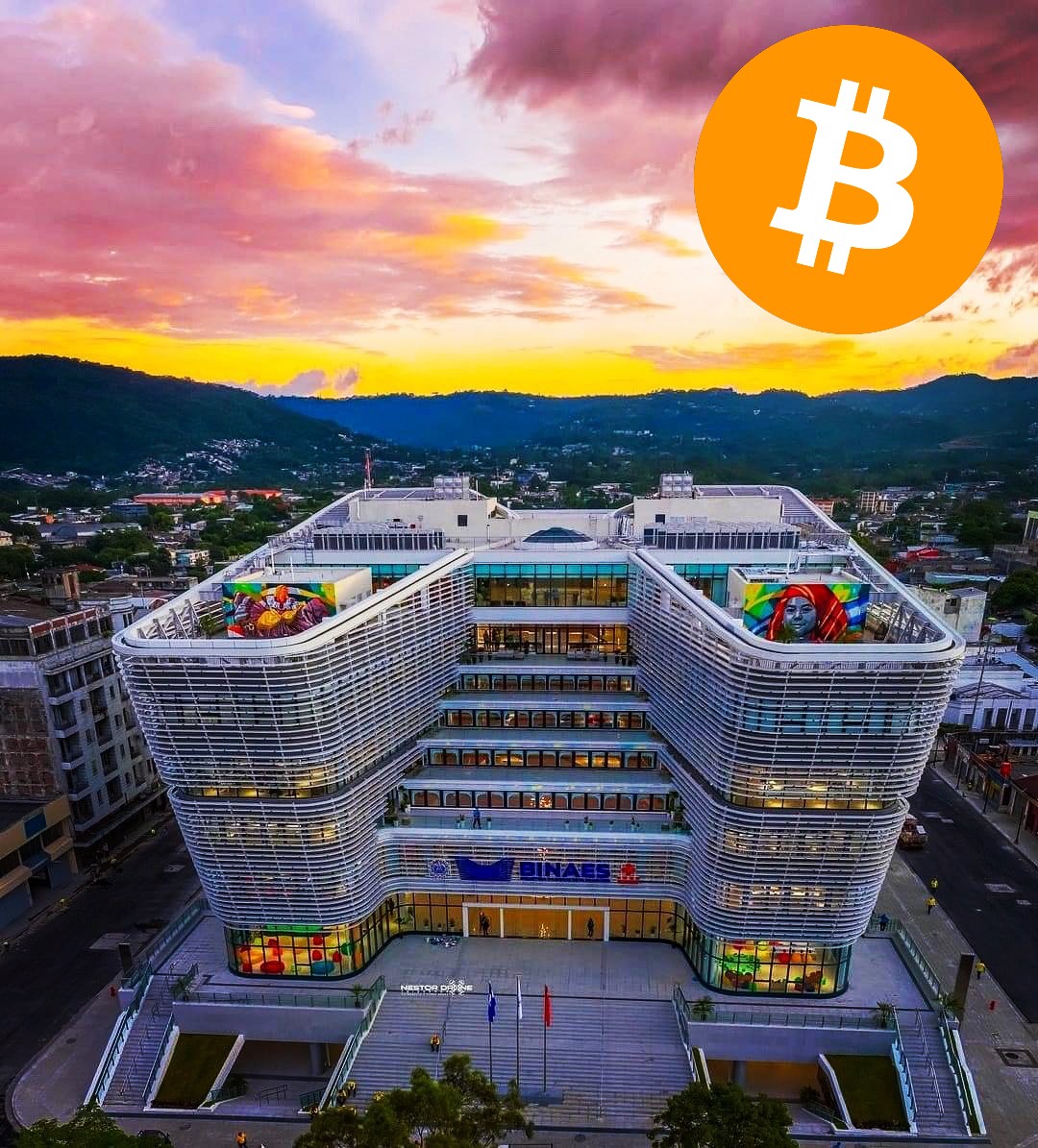 豆知識👇 エルサルバドルの国立図書館は、ビットコインのノードを運用しています 🇸🇻
