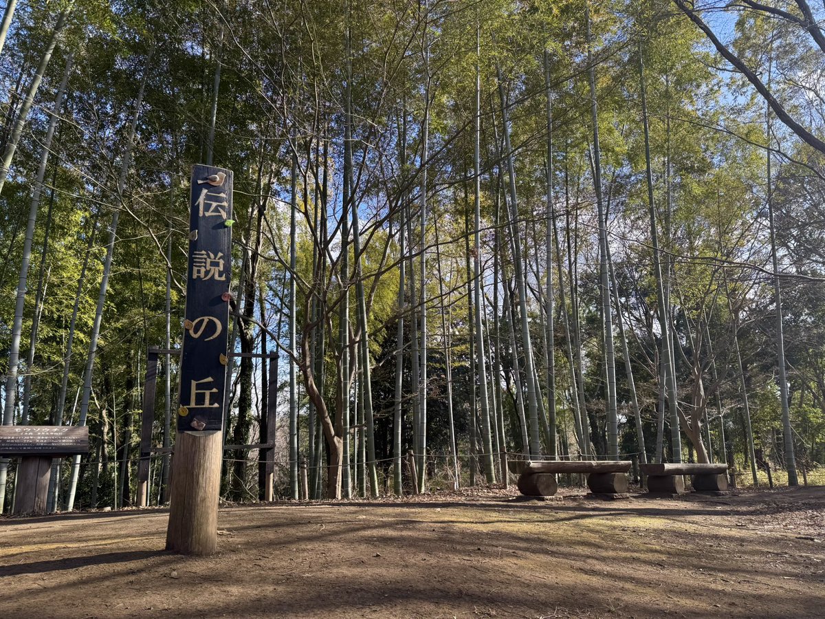 つよい(つよい)