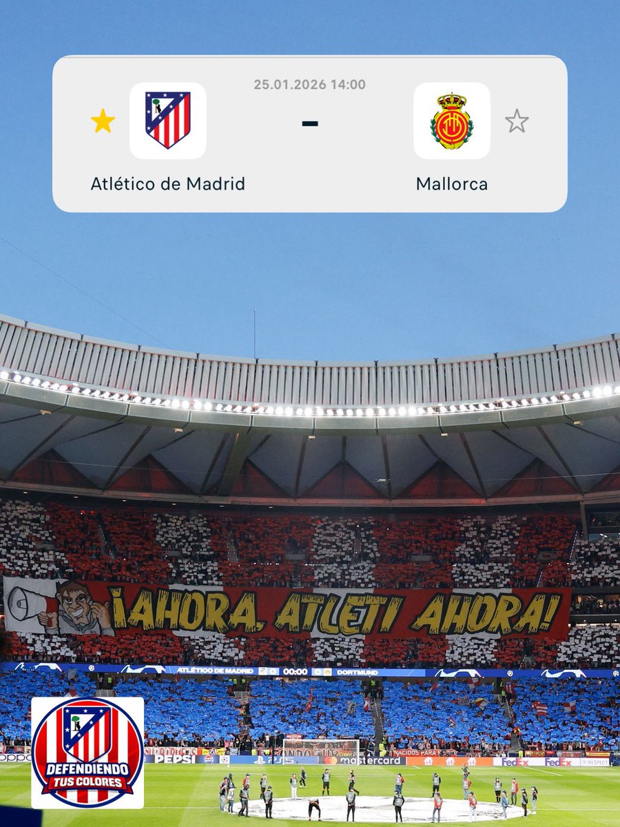 DefendiendoTusColores. tweet media