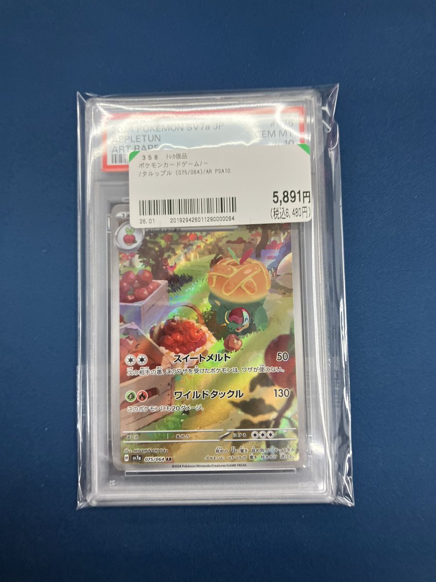 ポケカ PSA10入荷しました🌱 ✨タルップル AR✨ お買い上げお待ちして