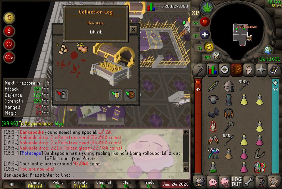 Pet #32 my favorite spider pet