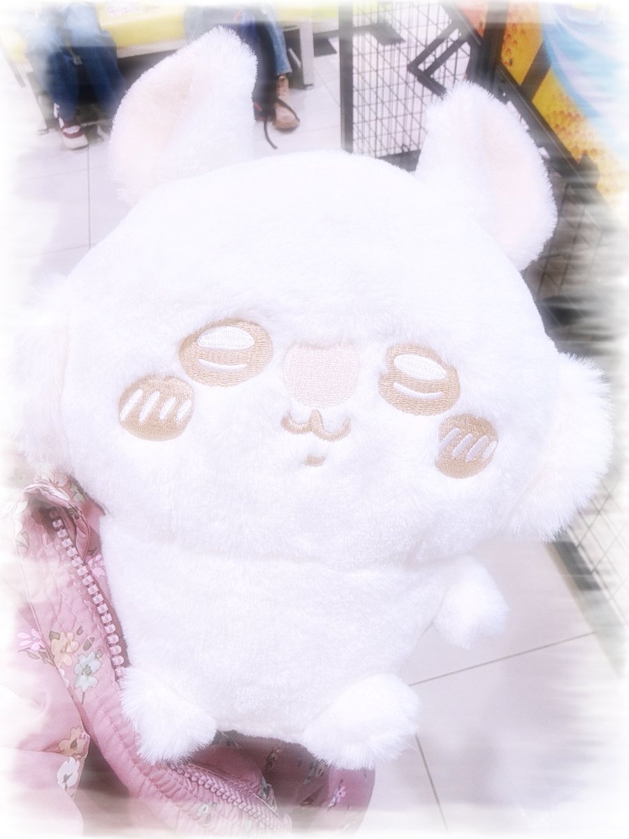 こりたゃは下位互換💎🩵 tweet media