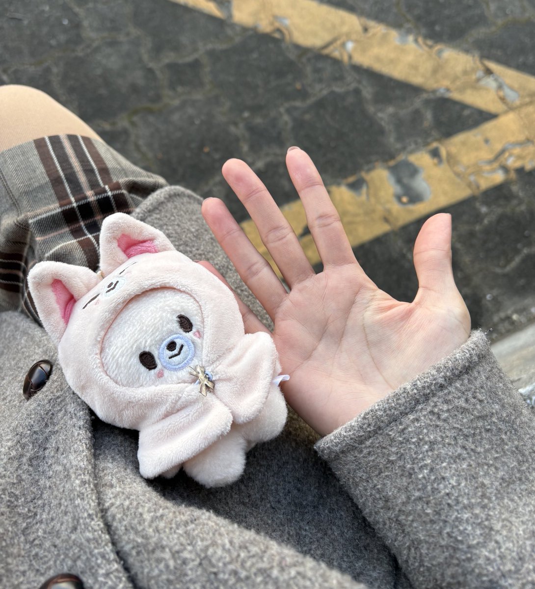 Chini🦊🦋 tweet media