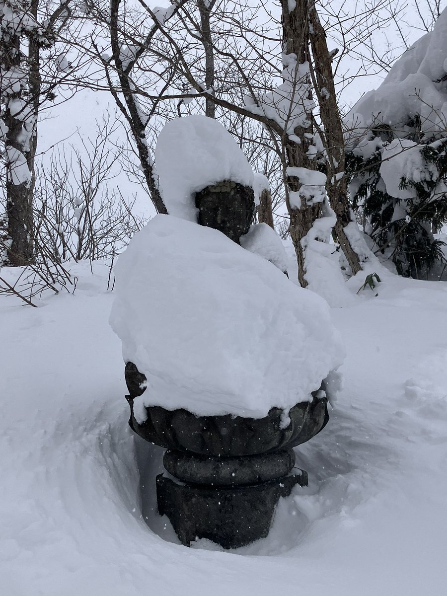 0_sole_mi0's tweet photo. 昨日のラングラウフスキー講習会の講師が店長を務める、尾花沢市内の藤井スポーツへ…の前に、最上川沿い向川寺の裏山まで。「天上の森」との命名、太ももまでの重いラッセルでしたが眺めは良く楽しく歩けました。 https://t.co/nZD3cZ5WSp