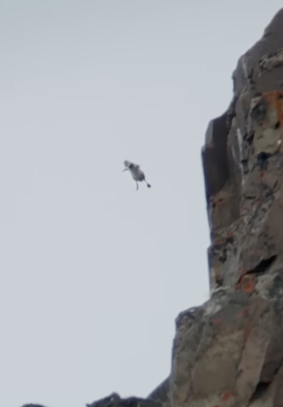 brick by brick🧱

FqKqZQv1TdHcydchS76CQZGjeU4qejEmmCUfgWfKpump

all $trust