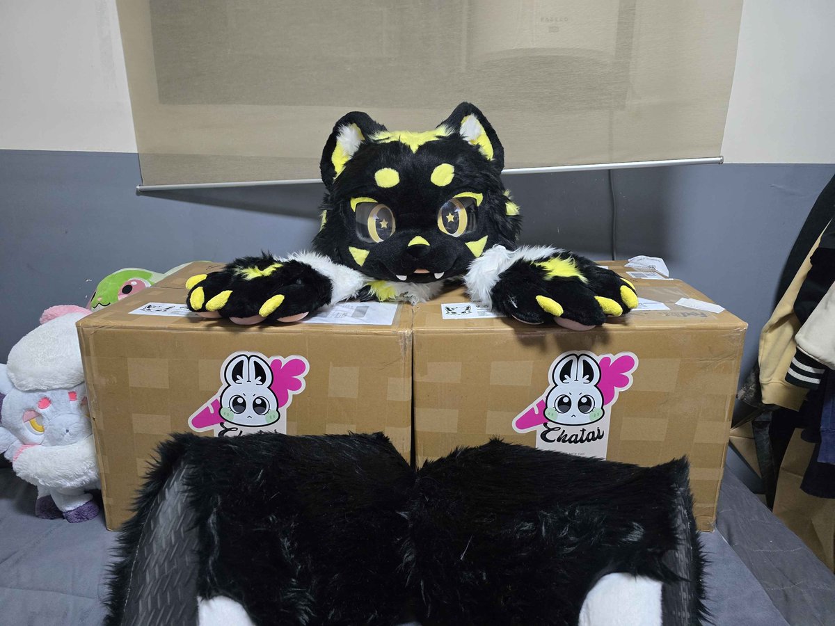 여우꼬리살랑살랑 tweet media