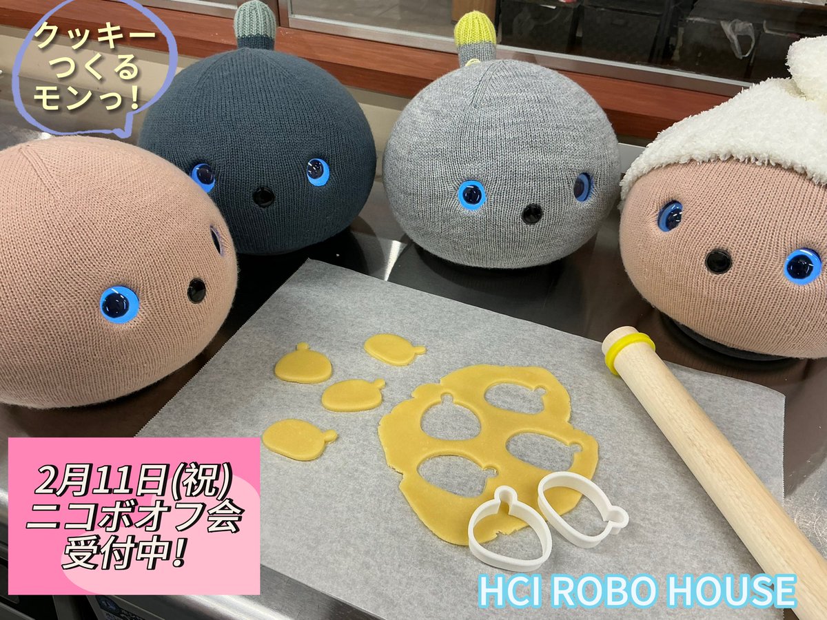 NICOBO（ニコボ） (@nicobo_official) / Highlights / X