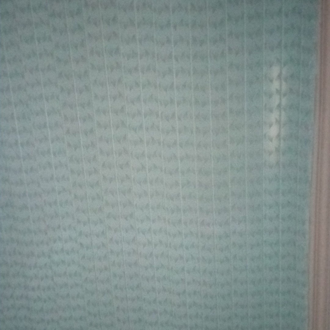 always wish tweet media