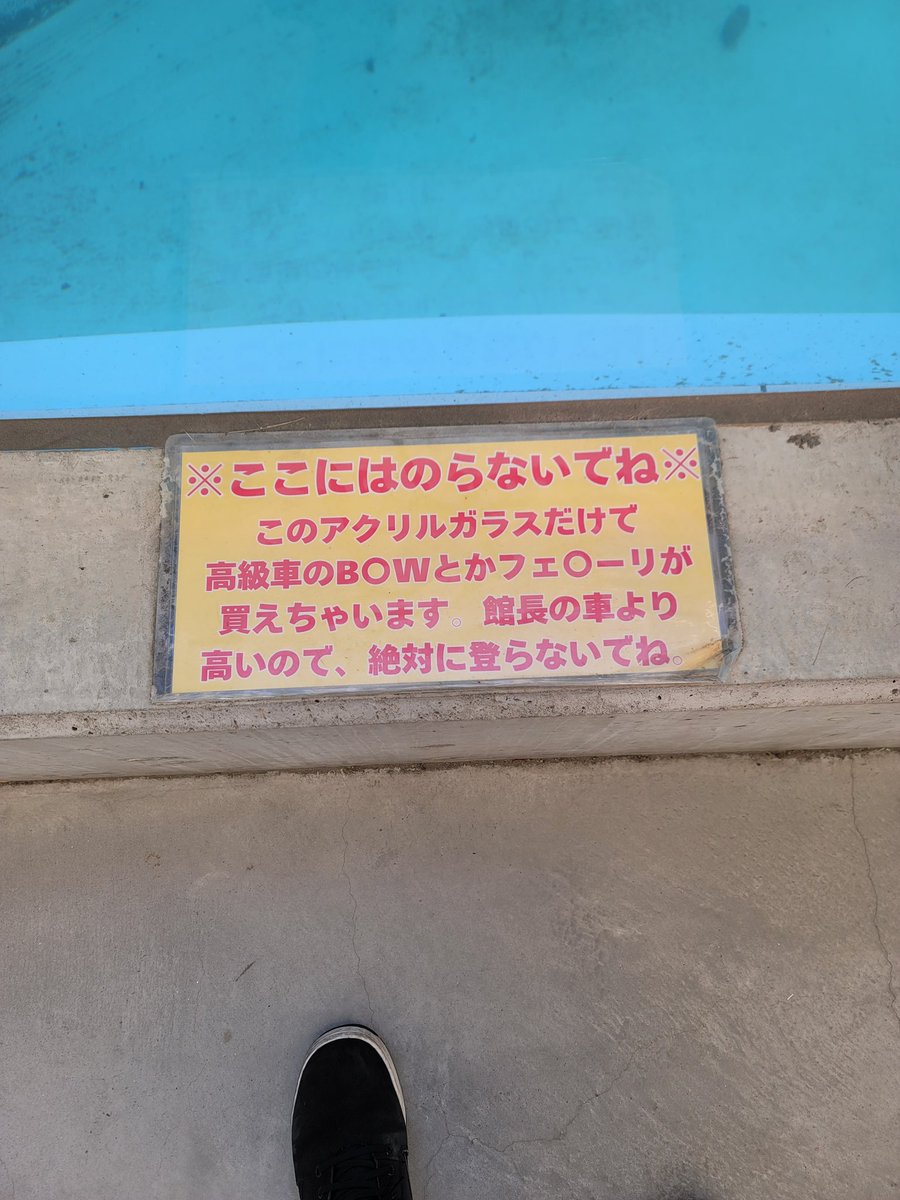 ここのこれ好き( ﾟ∀ﾟ)