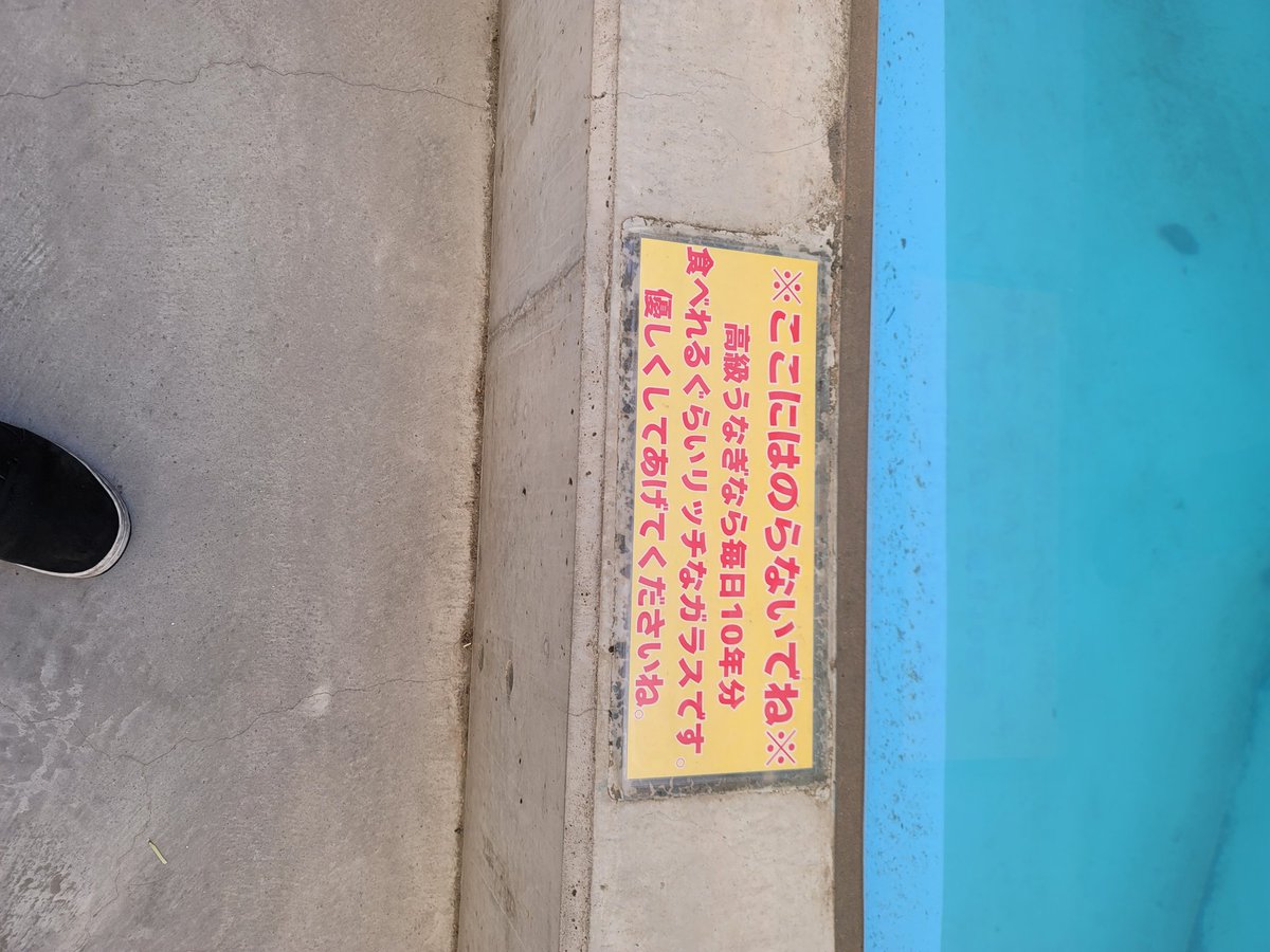 ここのこれ好き( ﾟ∀ﾟ)