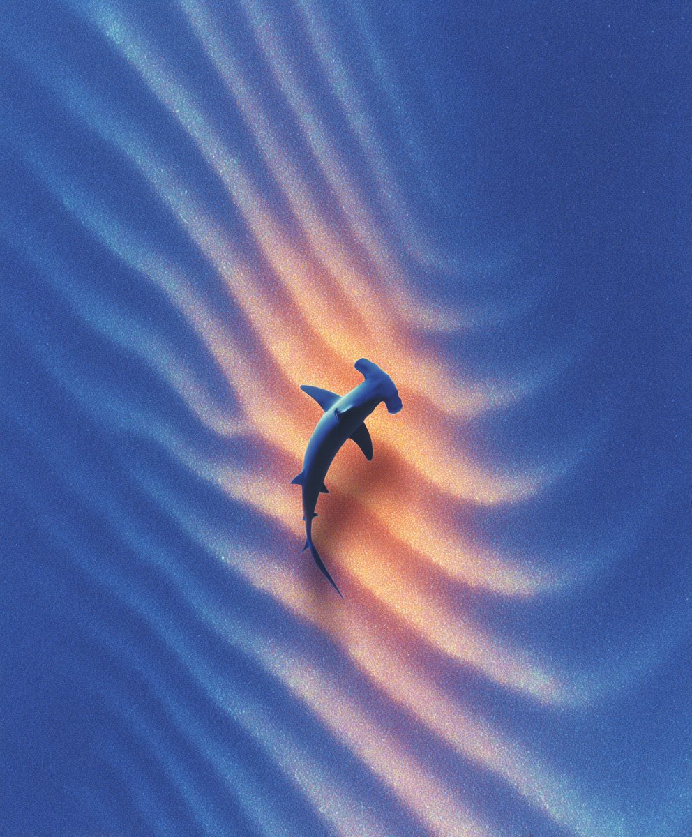 Lloyd Creates tweet media