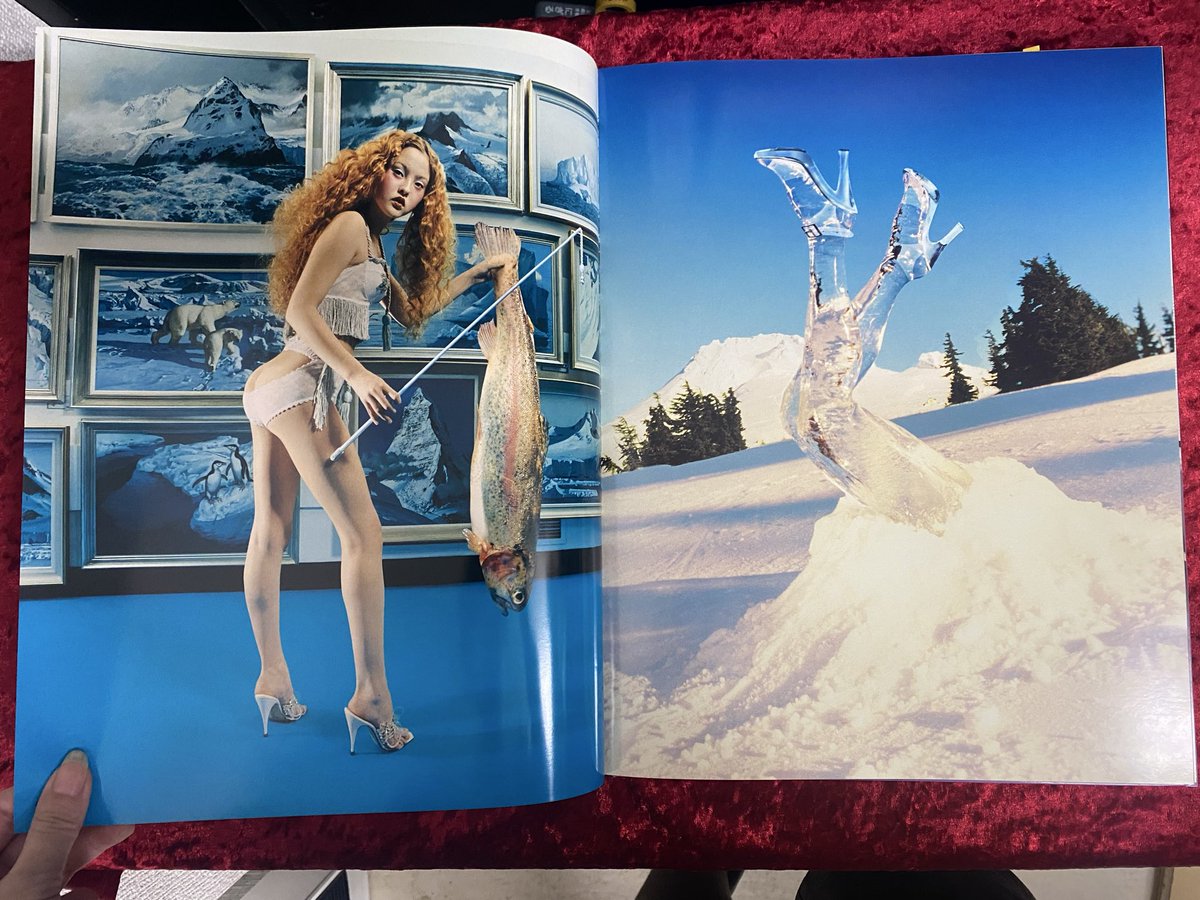 金野@古書Doris tweet media