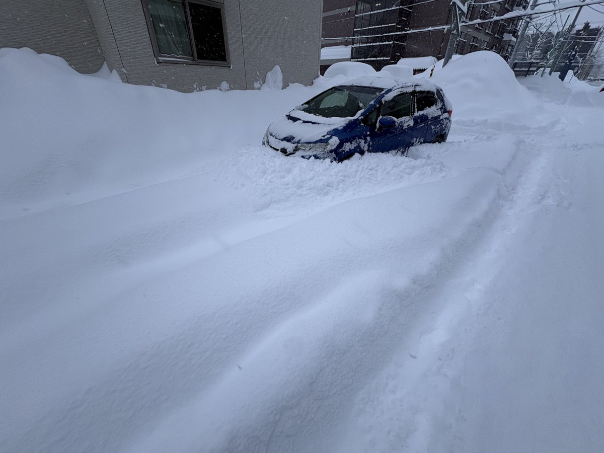 なんなんですかこの雪は