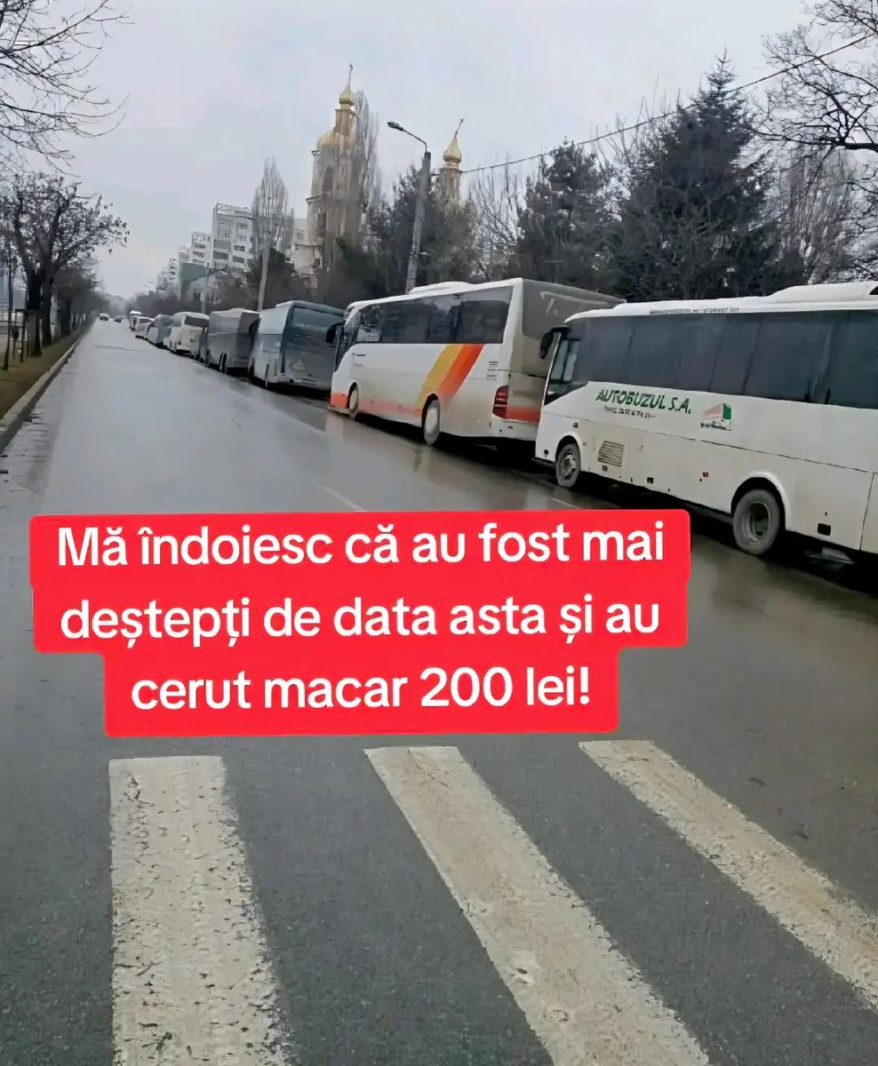 Lady Mihaela tweet media