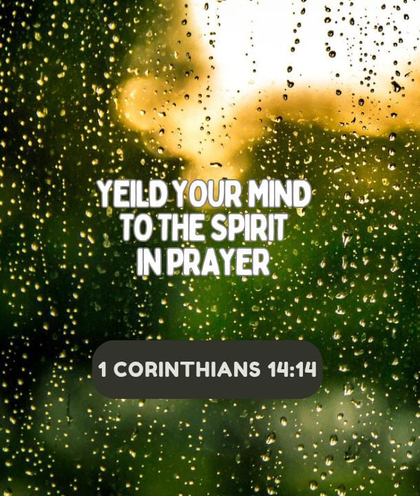 man_who_cares tweet media