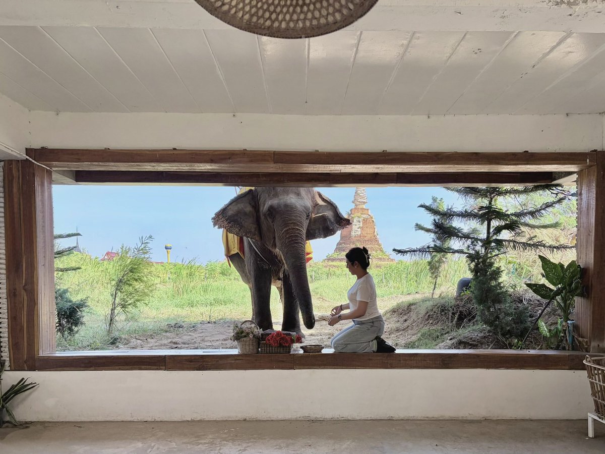 ❥น้องผิงผิง tweet media