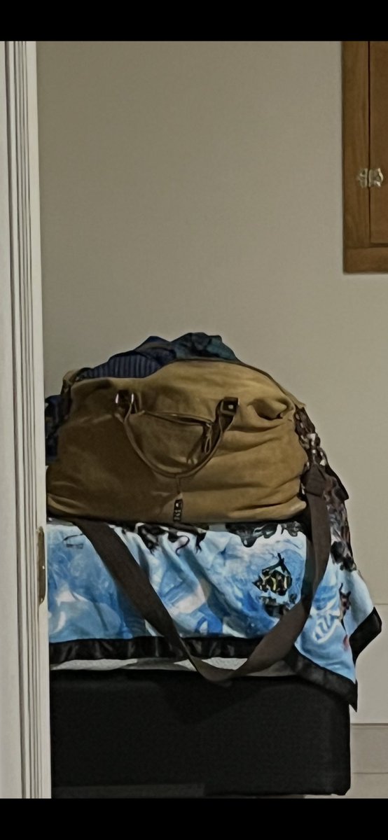I think snowmageddon is starting to take a toll on me already.

My laundry bag looks like a squinting sloth with a nose to ear piercing.

I’m cooked.