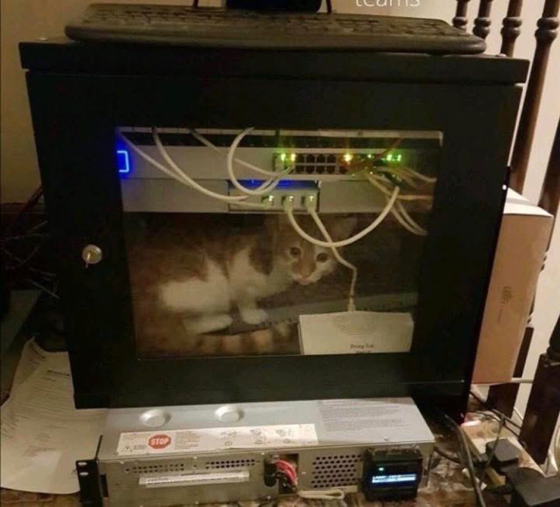 SecurityTrybe's tweet photo. Netcat listening on port 80 https://t.co/PdeXxqrqpr