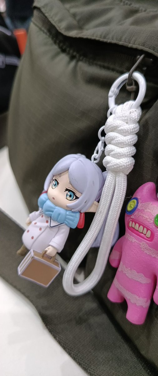 now I will always have a journey with frieren wherever I go