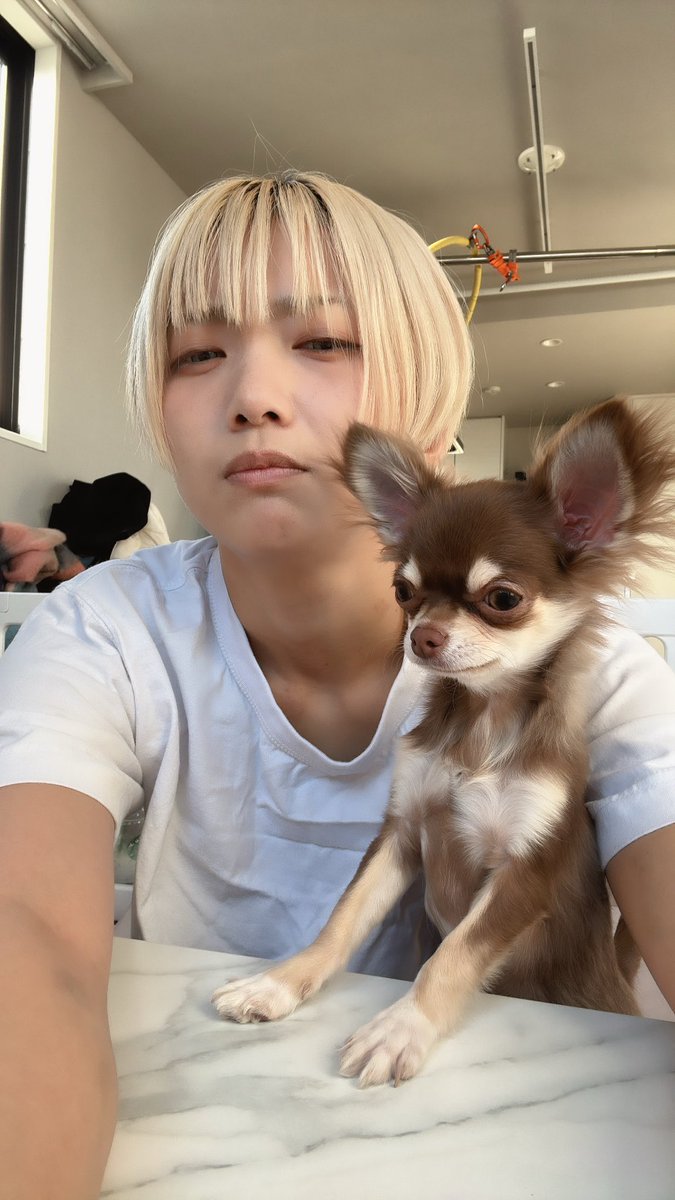 John Chui (@Chui_John_) / Posts / X