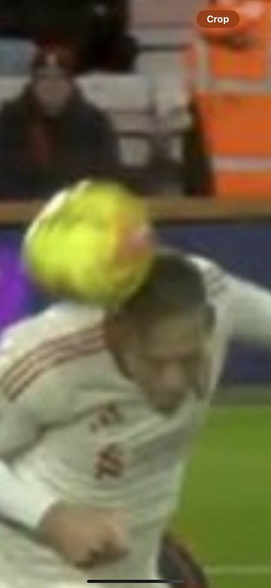 Jamie Serplus tweet media