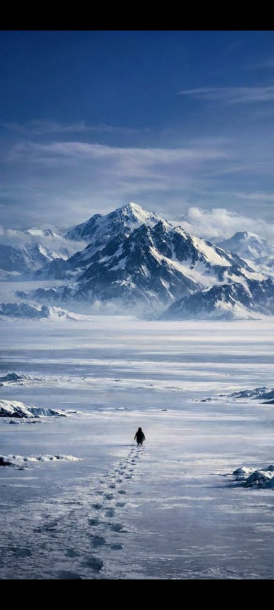 “Anlam, kalabalıkta değil, istikamettedir.”
#penguin