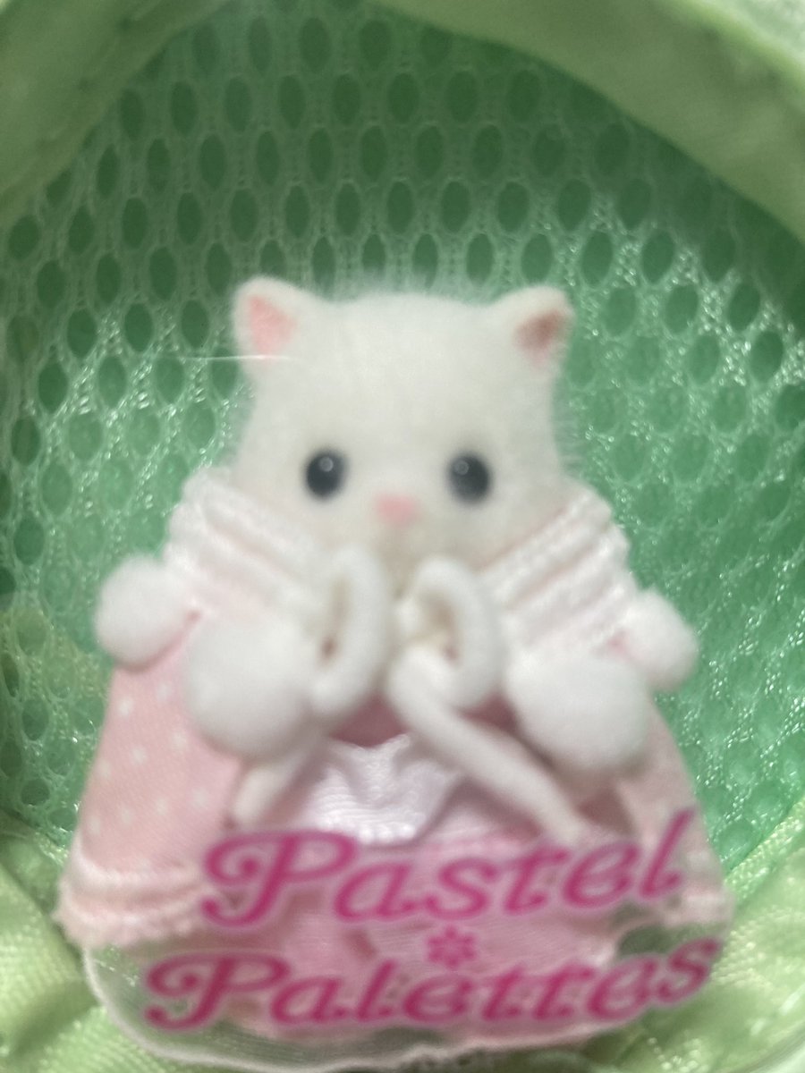 ダイソーのバンドリコラボポーチにバニア𝐁𝐚𝐛𝐲がﾋﾟｯﾀﾘすぎてこれ