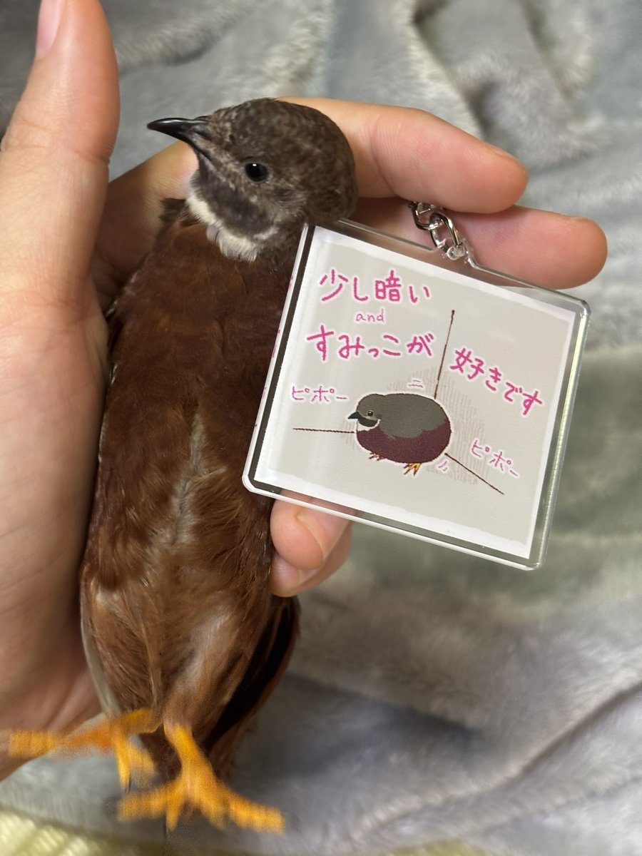 2月中に新しいひいちゃんグッズを何種類か出せるように頑張ってます