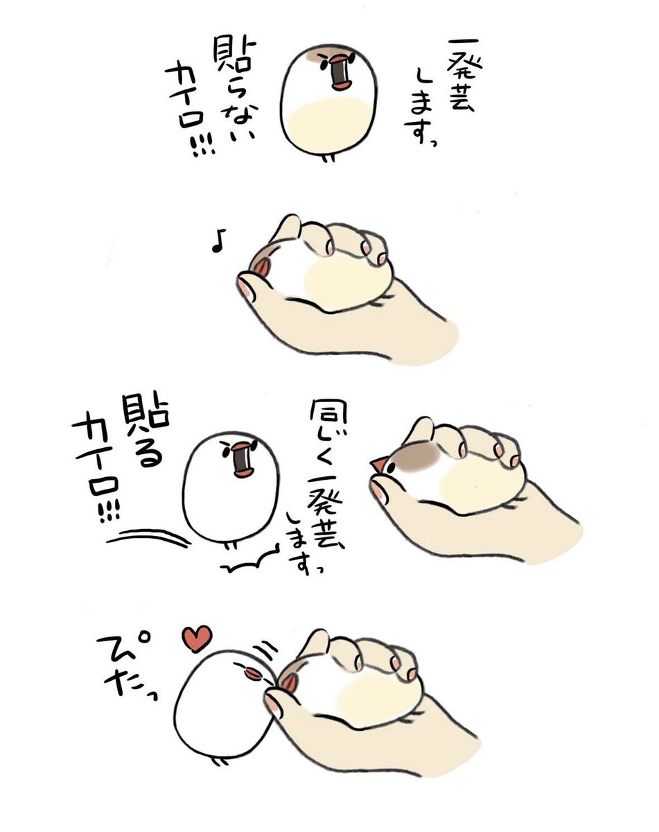 一発芸ホッカイロ!(再掲)
#文鳥 