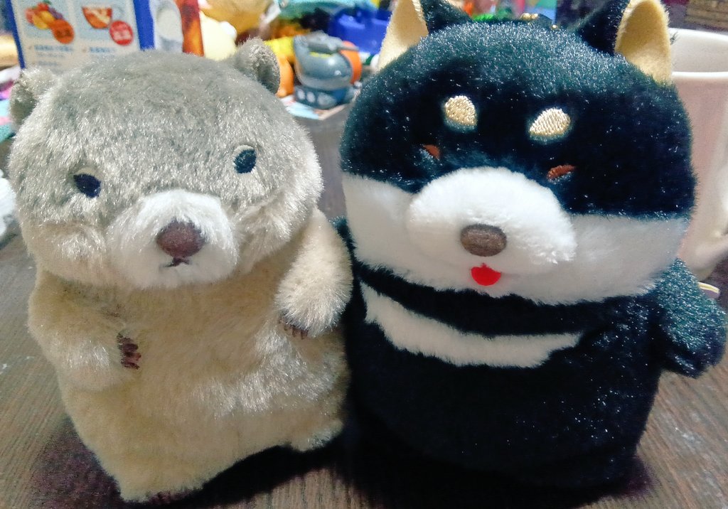 ayamerody13's tweet photo. もっともーっとマーモット★
LMC※チャンキー
ムクムクむっくんにんきもの★
LMC※しばくろー

救出完了(⁠ ⁠╹⁠▽⁠╹⁠ ⁠)
設定おわりすぎてて…チャンキー救出するのにいくらつっこんだ事やら…
どことは言わんけど、二度と行かん。
しばくろーは奇跡の一回で確率きた！

＃AMUFUN
＃AMUSE https://t.co/C7Cg4g0JDX