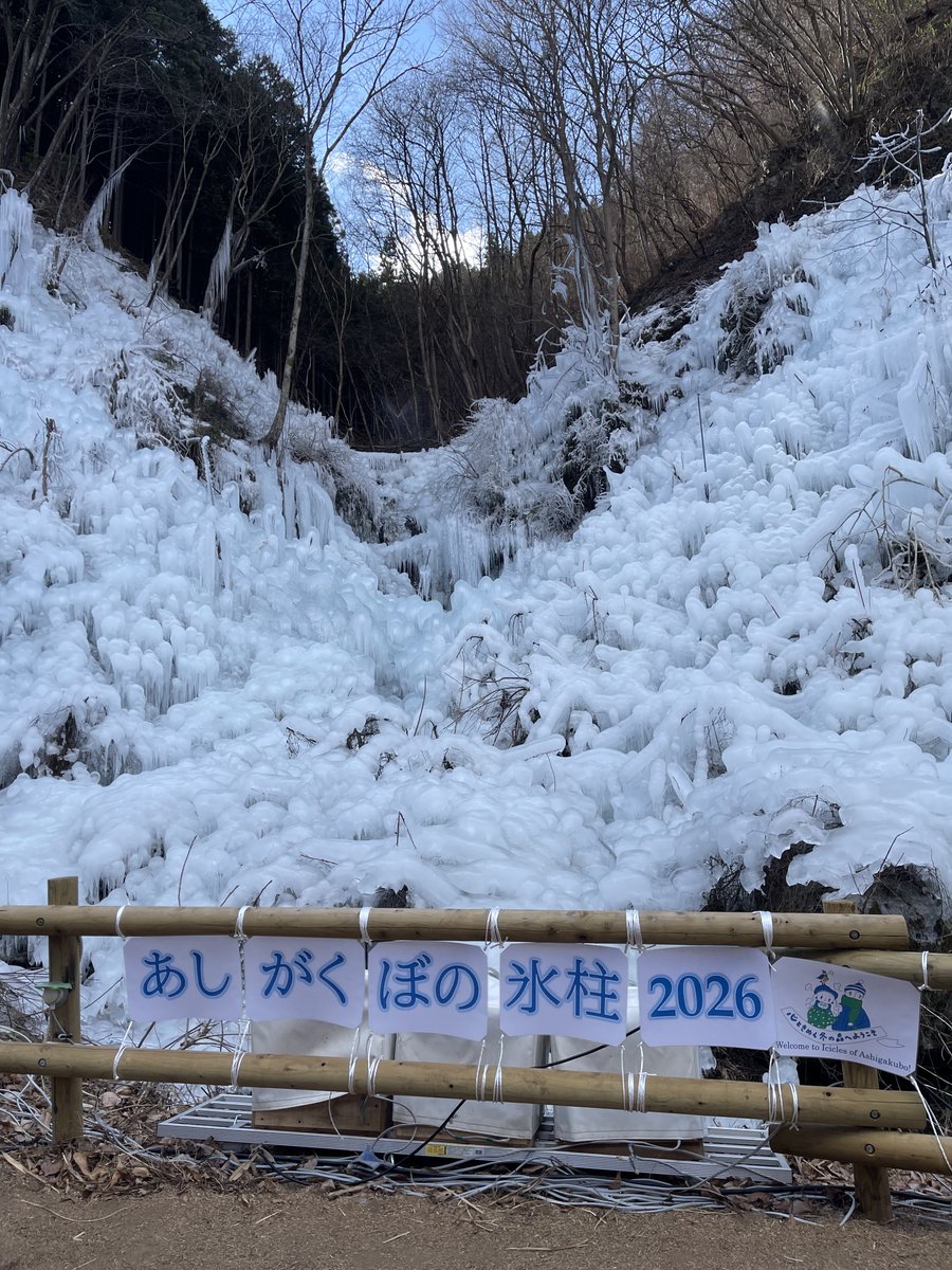 SMSMHSSM's tweet image. ずりあげうどん食べて人工氷柱見てきた