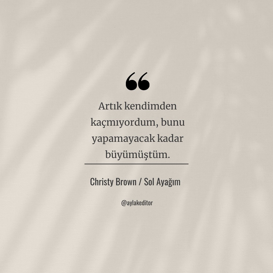 Aylak Editör (@aylakeditor) on Twitter photo 