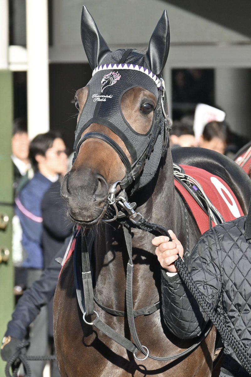 あんみつ (@cream_anmizu) / Posts / X