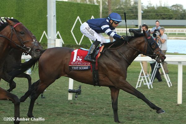 horseracesnet's tweet photo. Pegasus World Cup Turf (G1) - Test Score held on by a neck over One Stripe win the $1 million Pegasus World Cup Turf Invitational (G1) with Almendares third, while Destino d'Oro won the Pegasus World Cup Filly and Mare Turf Invitational Stakes (G2) https://t.co/bVkIZ4bLhs https://t.co/Tv9mjZFVU0