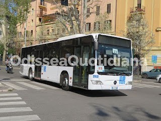 iltrenoromalido's tweet image. 🚌 42 mezzi, diverse provenienze: Francia, Germania, Norvegia. Il parco autobus Riccitelli è un mosaico europeo al servizio di Roma. #BusRoma #Subaffidamenti
🔗 odisseaquotidiana.com/2025/05/autobu…

#OdisseaQuotidiana